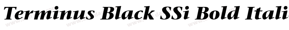 Terminus Black SSi Bold Italic字体转换